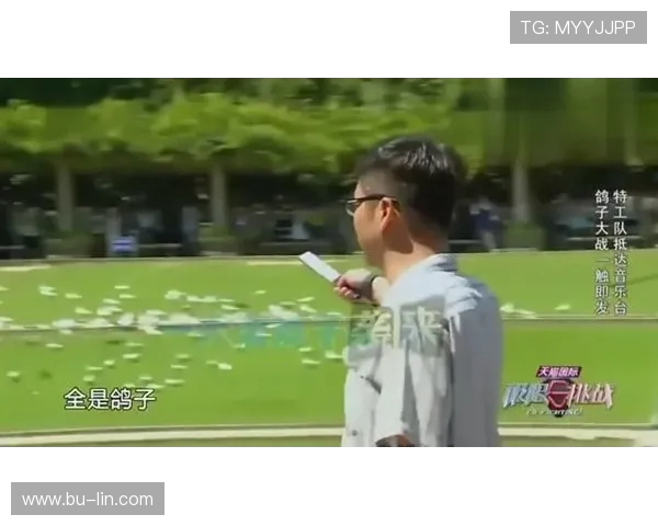 极限运动的成功秘诀黄丽分享她的奋斗与坚持之路