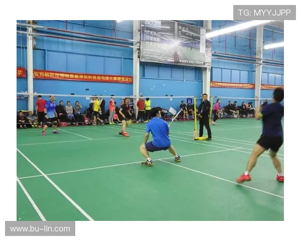 深圳羽毛球队勇攀高峰的奋斗历程与世界锦标赛的辉煌瞬间