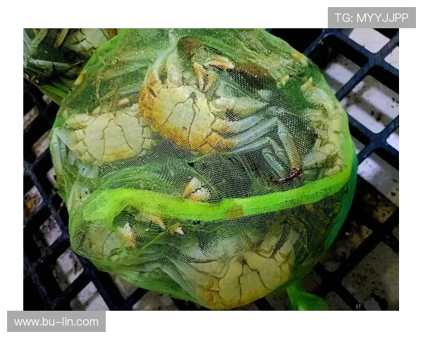 青岛国信水产：创新驱动发展打造海鲜产业新高地助力绿色海洋经济