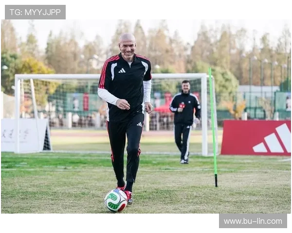 齐内丁齐达内的传奇人生与绿茵智慧从球场巨星到战术大师的蜕变